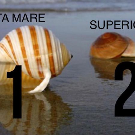 Apartmán La Conchiglia A Marina Marina Di Carrara Exteriér fotografie